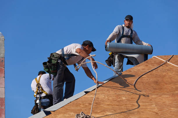 Best Commercial Roofing Services  in Lake Butler, FL