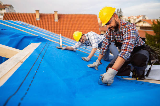 Gutter Installation and Roofing in Lake Butler, FL